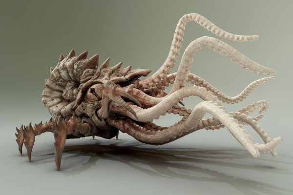 Kraken darknet ссылка